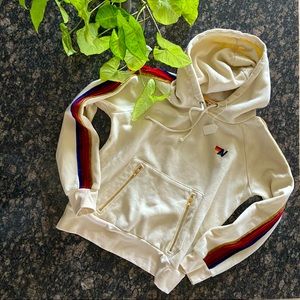 AVIATOR NATION CLASSIC VELVET STRIPES HOODIE